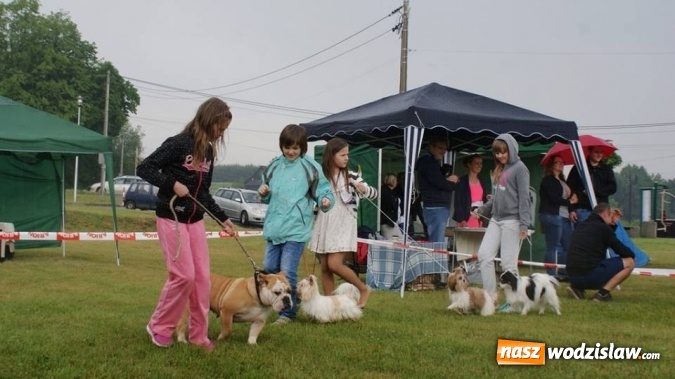 Zdjęcie w galerii na portalu naszwodzislaw.com: II Międzynarodowa wystawa Ps&oacute;w Rasowych w Połomi wiadomości z regionu