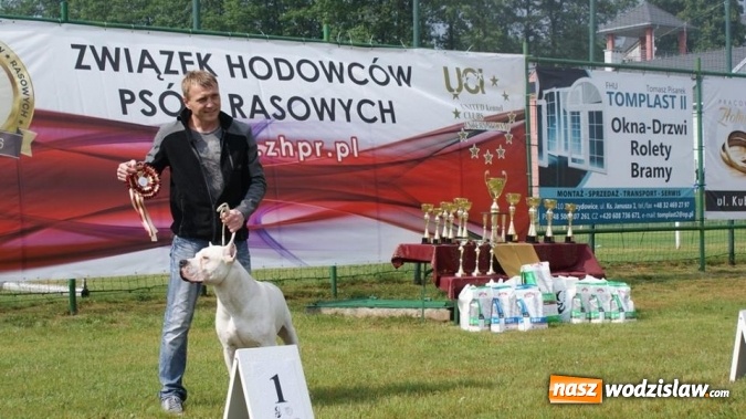 Zdjęcie w galerii na portalu naszwodzislaw.com: II Międzynarodowa wystawa Ps&oacute;w Rasowych w Połomi wiadomości z regionu