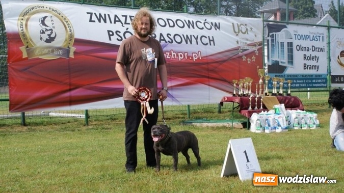 Zdjęcie w galerii na portalu naszwodzislaw.com: II Międzynarodowa wystawa Ps&oacute;w Rasowych w Połomi wiadomości z regionu