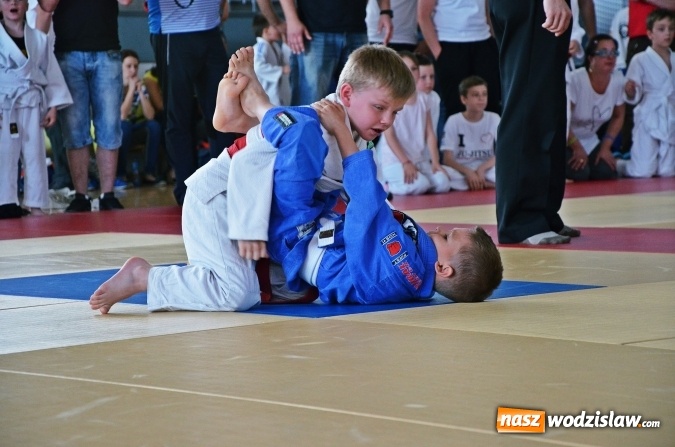 Zdjęcie w galerii na portalu naszwodzislaw.com: Zawodnicy Octagon Team wrócili z kolejnymi medalami wiadomości z regionu