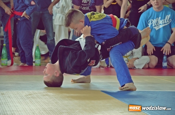 Zdjęcie w galerii na portalu naszwodzislaw.com: Zawodnicy Octagon Team wrócili z kolejnymi medalami wiadomości z regionu