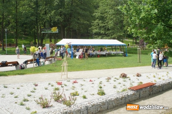 Zdjęcie w galerii na portalu naszwodzislaw.com: Plener malarski Caritasu w Parku w Mszanie wiadomości z regionu