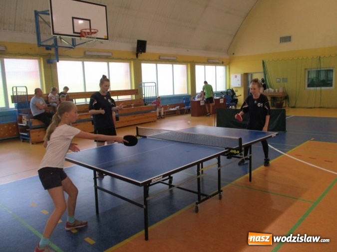 Zdjęcie w galerii na portalu naszwodzislaw.com: Rozegrali turniej tenisa stołowego z okazji Dnia Dziecka  wiadomości z regionu