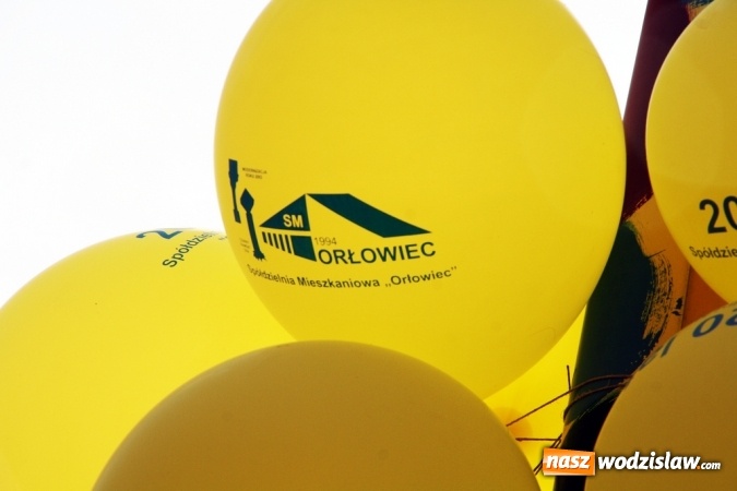 Zdjęcie w galerii na portalu naszwodzislaw.com: Rydułtowy: To był Dzień Dziecka pełen atrakcji wiadomości z regionu