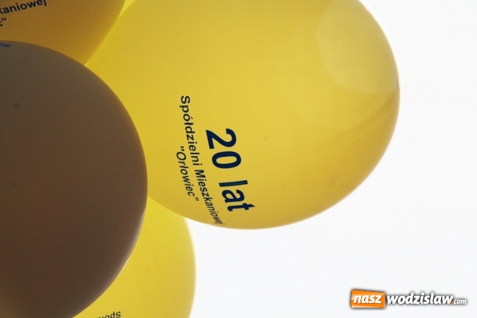 Zdjęcie w galerii na portalu naszwodzislaw.com: Rydułtowy: To był Dzień Dziecka pełen atrakcji wiadomości z regionu