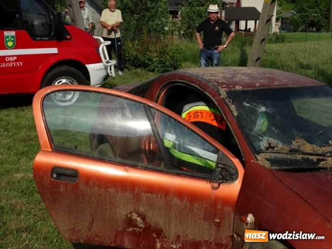 Zdjęcie w galerii na portalu naszwodzislaw.com: W Rzuchowie obchodzili Dzień Dziecka. W pomoc włączyli się strażacy z Głożyn wiadomości z regionu