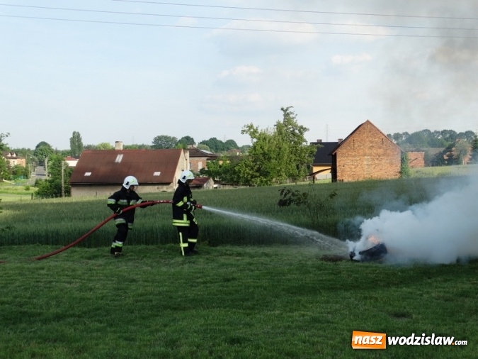 Zdjęcie w galerii na portalu naszwodzislaw.com: W Rzuchowie obchodzili Dzień Dziecka. W pomoc włączyli się strażacy z Głożyn wiadomości z regionu