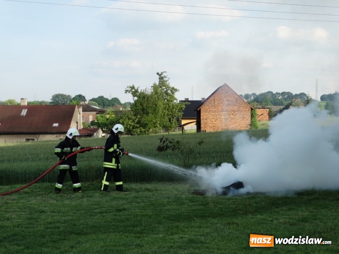 Zdjęcie w galerii na portalu naszwodzislaw.com: W Rzuchowie obchodzili Dzień Dziecka. W pomoc włączyli się strażacy z Głożyn wiadomości z regionu
