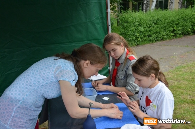 Zdjęcie w galerii na portalu naszwodzislaw.com: Trzynastu laureatów konkursu EkoAktywni 2016 FOTO I WIDEO wiadomości z regionu