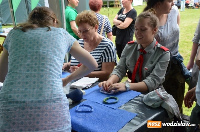 Zdjęcie w galerii na portalu naszwodzislaw.com: Trzynastu laureatów konkursu EkoAktywni 2016 FOTO I WIDEO wiadomości z regionu