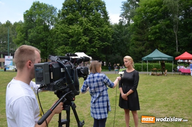 Zdjęcie w galerii na portalu naszwodzislaw.com: Trzynastu laureatów konkursu EkoAktywni 2016 FOTO I WIDEO wiadomości z regionu
