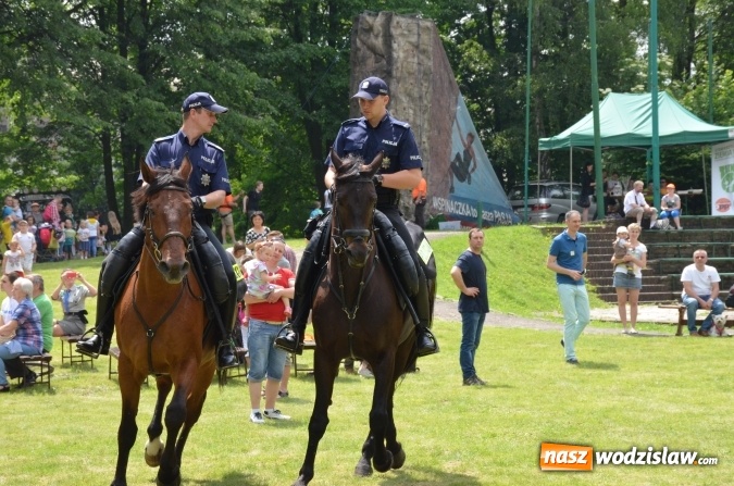 Zdjęcie w galerii na portalu naszwodzislaw.com: Trzynastu laureatów konkursu EkoAktywni 2016 FOTO I WIDEO wiadomości z regionu