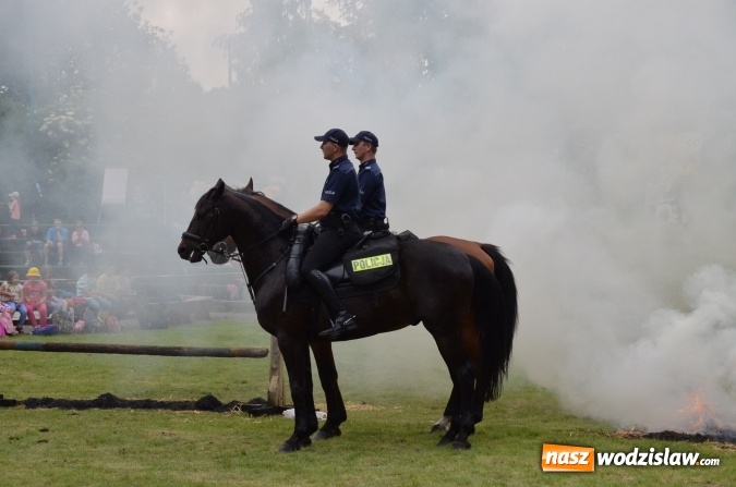 Zdjęcie w galerii na portalu naszwodzislaw.com: Trzynastu laureatów konkursu EkoAktywni 2016 FOTO I WIDEO wiadomości z regionu