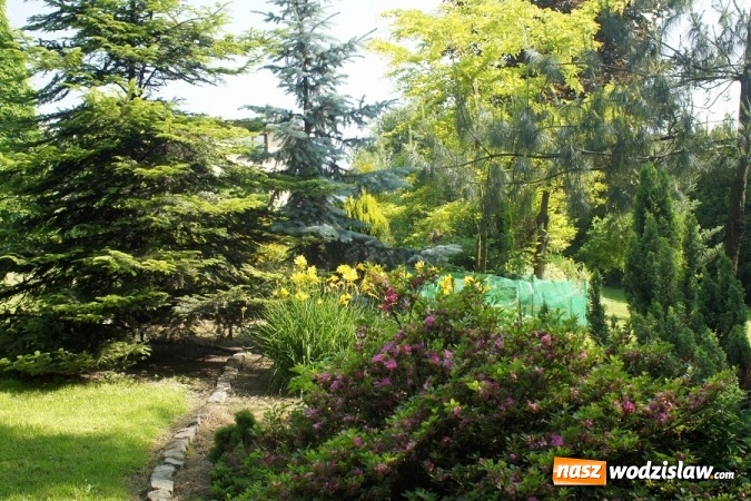 Zdjęcie w galerii na portalu naszwodzislaw.com: W Gminie Mszana wybrany zostanie najpiękniejszy ogród 2016 roku wiadomości z regionu