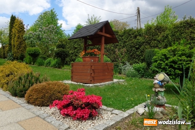 Zdjęcie w galerii na portalu naszwodzislaw.com: W Gminie Mszana wybrany zostanie najpiękniejszy ogród 2016 roku wiadomości z regionu