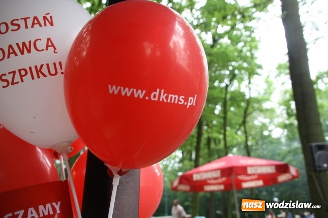 Zdjęcie w galerii na portalu naszwodzislaw.com: Festyn parafialny w Rogowie. Dobra zabawa i wiele atrakcji wiadomości z regionu