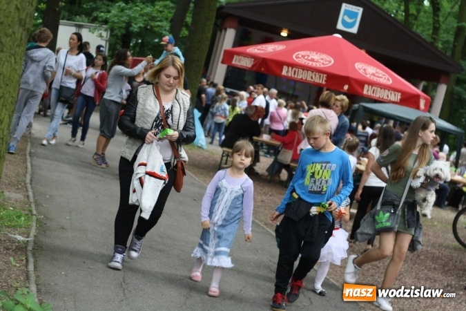 Zdjęcie w galerii na portalu naszwodzislaw.com: Festyn parafialny w Rogowie. Dobra zabawa i wiele atrakcji wiadomości z regionu