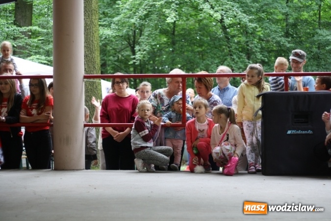 Zdjęcie w galerii na portalu naszwodzislaw.com: Festyn parafialny w Rogowie. Dobra zabawa i wiele atrakcji wiadomości z regionu
