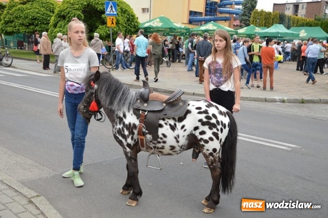 Zdjęcie w galerii na portalu naszwodzislaw.com: W Radlinie witają lato – dzień pierwszy. FOTORELACJA  wiadomości z regionu