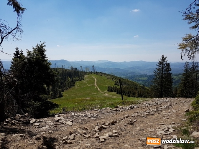 Zdjęcie w galerii na portalu naszwodzislaw.com: II miejsce uczniów ZST w XII Rajdzie Turystyczno - Historycznym 