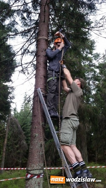 Zdjęcie w galerii na portalu naszwodzislaw.com: II miejsce uczniów ZST w XII Rajdzie Turystyczno - Historycznym 