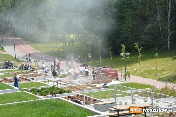 Zdjęcie w galerii na portalu naszwodzislaw.com: Sprawdzali swoją wiedzę z zakresu pierwszej pomocy wiadomości z regionu