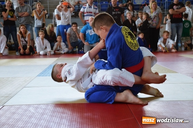 Zdjęcie w galerii na portalu naszwodzislaw.com: Octagon Team: Czołowe miejsca w klasyfikacji dzieci!  wiadomości z regionu