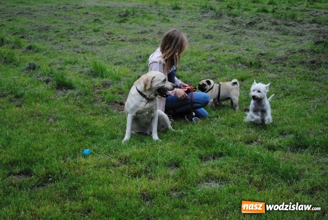 Zdjęcie w galerii na portalu naszwodzislaw.com: 