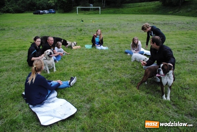 Zdjęcie w galerii na portalu naszwodzislaw.com: 