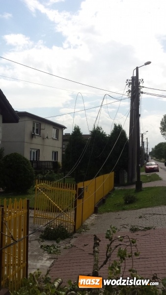 Zdjęcie w galerii na portalu naszwodzislaw.com: Wichura wyrządziła szkody. Powalone drzewo zerwało linię energetyczną, telekomunikacyjną i światłowody. Ulica Asnyka zablokowana  wiadomości z regionu
