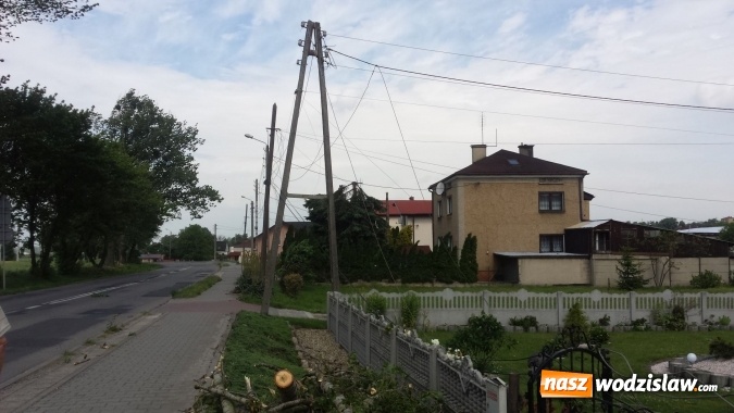 Zdjęcie w galerii na portalu naszwodzislaw.com: Wichura wyrządziła szkody. Powalone drzewo zerwało linię energetyczną, telekomunikacyjną i światłowody. Ulica Asnyka zablokowana  wiadomości z regionu