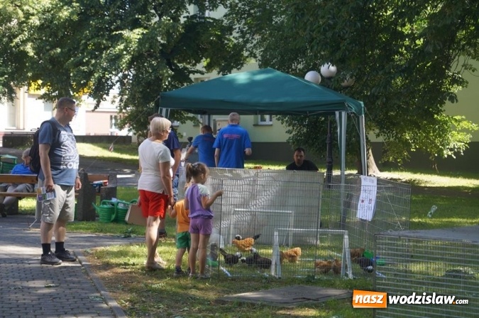 Zdjęcie w galerii na portalu naszwodzislaw.com: Wystawa drobnego inwentarza w Parku Miejskim  wiadomości z regionu