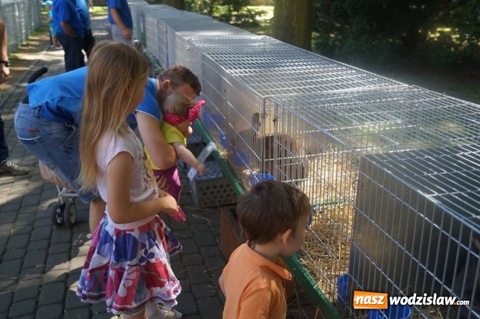 Zdjęcie w galerii na portalu naszwodzislaw.com: Wystawa drobnego inwentarza w Parku Miejskim  wiadomości z regionu