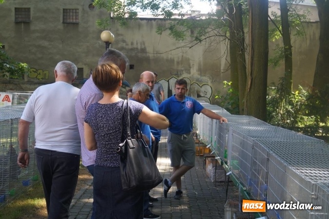 Zdjęcie w galerii na portalu naszwodzislaw.com: Wystawa drobnego inwentarza w Parku Miejskim  wiadomości z regionu