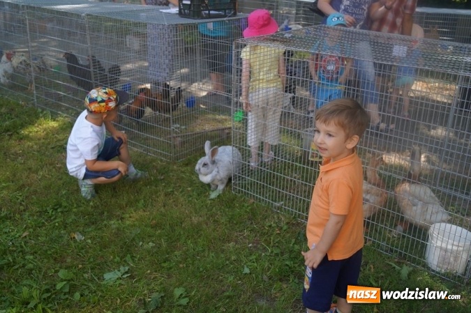 Zdjęcie w galerii na portalu naszwodzislaw.com: Wystawa drobnego inwentarza w Parku Miejskim  wiadomości z regionu