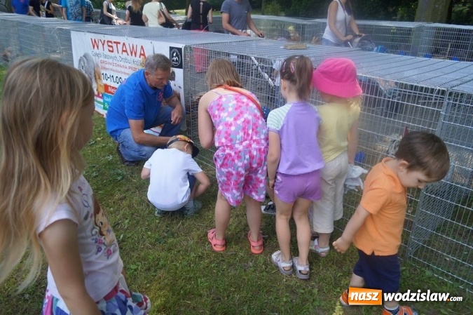 Zdjęcie w galerii na portalu naszwodzislaw.com: Wystawa drobnego inwentarza w Parku Miejskim  wiadomości z regionu