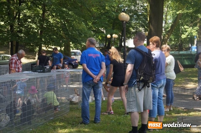 Zdjęcie w galerii na portalu naszwodzislaw.com: Wystawa drobnego inwentarza w Parku Miejskim  wiadomości z regionu