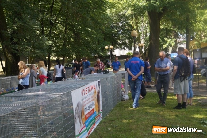 Zdjęcie w galerii na portalu naszwodzislaw.com: Wystawa drobnego inwentarza w Parku Miejskim  wiadomości z regionu