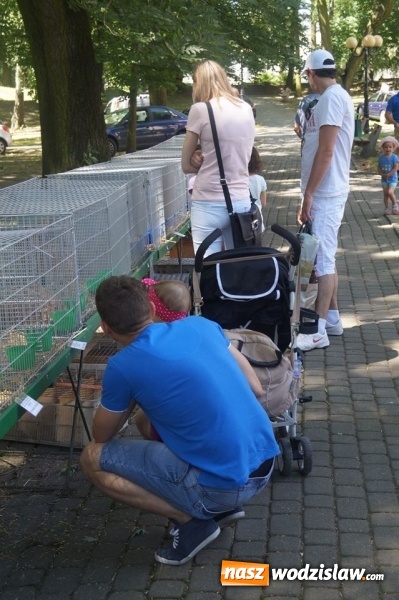 Zdjęcie w galerii na portalu naszwodzislaw.com: Wystawa drobnego inwentarza w Parku Miejskim  wiadomości z regionu
