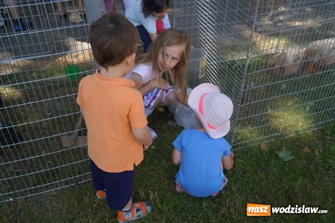 Zdjęcie w galerii na portalu naszwodzislaw.com: Wystawa drobnego inwentarza w Parku Miejskim  wiadomości z regionu