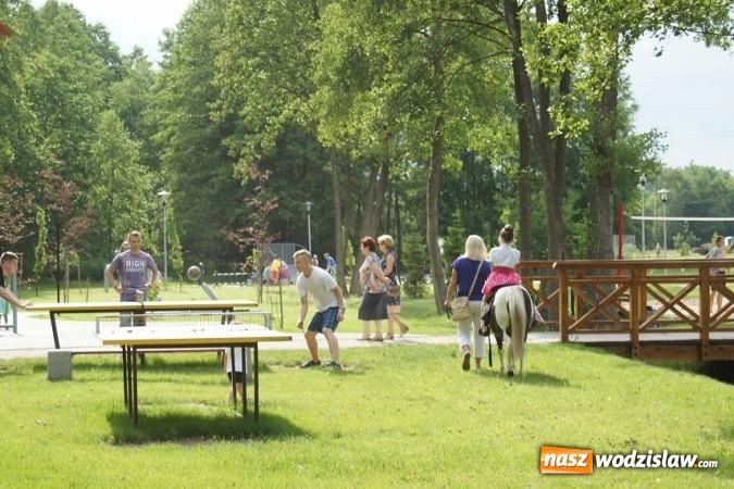 Zdjęcie w galerii na portalu naszwodzislaw.com: Piknik Rodzinny w mszańskim parku wiadomości z regionu