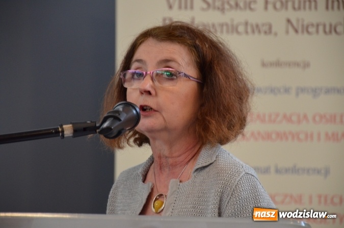 Zdjęcie w galerii na portalu naszwodzislaw.com: Rewitalizacja miast tematem konferencji w Katowicach wiadomości z regionu