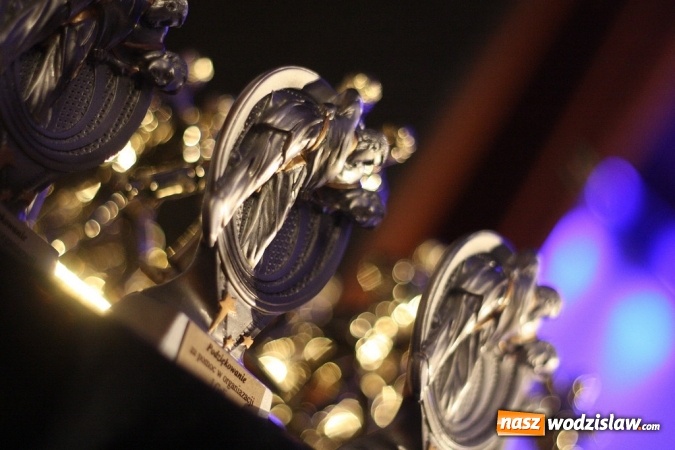 Zdjęcie w galerii na portalu naszwodzislaw.com: Sportowe emocje na deskach WCK. Za nami I Gala Judo Kids wiadomości z regionu