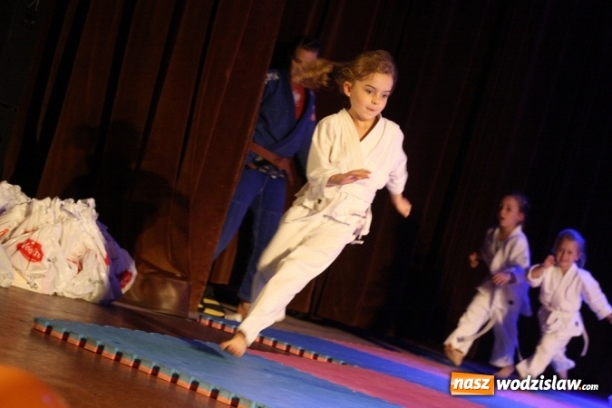 Zdjęcie w galerii na portalu naszwodzislaw.com: Sportowe emocje na deskach WCK. Za nami I Gala Judo Kids wiadomości z regionu