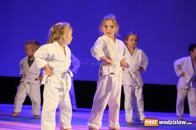 Zdjęcie w galerii na portalu naszwodzislaw.com: Sportowe emocje na deskach WCK. Za nami I Gala Judo Kids wiadomości z regionu