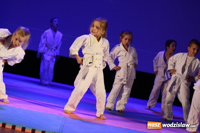 Zdjęcie w galerii na portalu naszwodzislaw.com: Sportowe emocje na deskach WCK. Za nami I Gala Judo Kids wiadomości z regionu