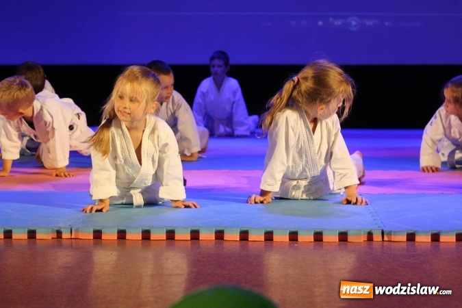 Zdjęcie w galerii na portalu naszwodzislaw.com: Sportowe emocje na deskach WCK. Za nami I Gala Judo Kids wiadomości z regionu