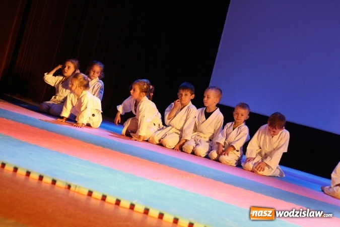 Zdjęcie w galerii na portalu naszwodzislaw.com: Sportowe emocje na deskach WCK. Za nami I Gala Judo Kids wiadomości z regionu