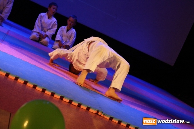 Zdjęcie w galerii na portalu naszwodzislaw.com: Sportowe emocje na deskach WCK. Za nami I Gala Judo Kids wiadomości z regionu