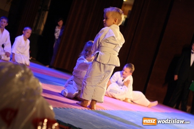 Zdjęcie w galerii na portalu naszwodzislaw.com: Sportowe emocje na deskach WCK. Za nami I Gala Judo Kids wiadomości z regionu